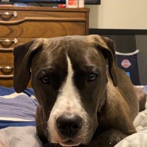 Meet your Posher, Tyler